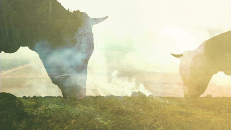 bruno-and-dom-project_beef_1