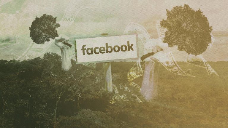 bruno-and-dom-project_case_5