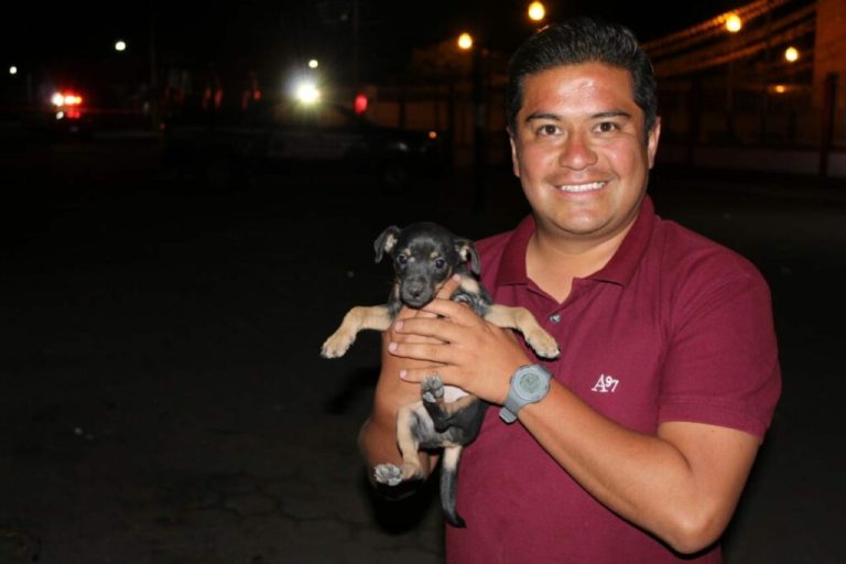 cartel-project_arms_1