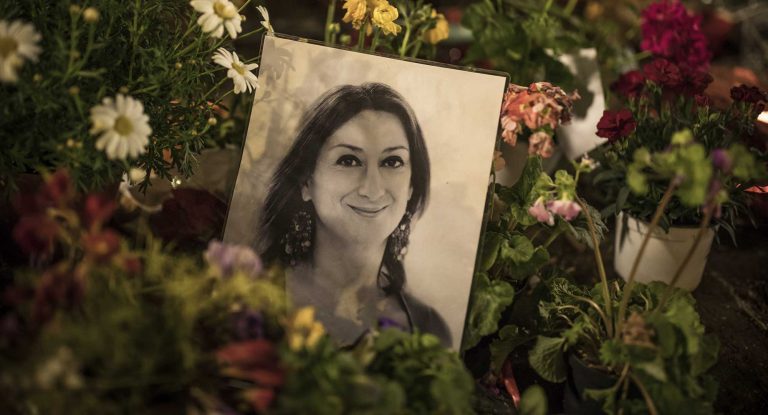 daphne-project_case_27