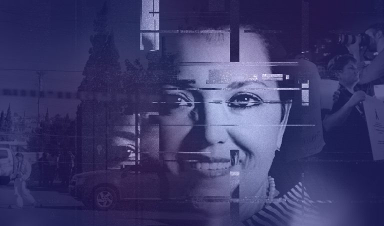 miroslava-project_case_1